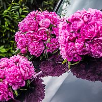 Hochzeit Bild 003