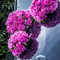Hochzeit Bild 005